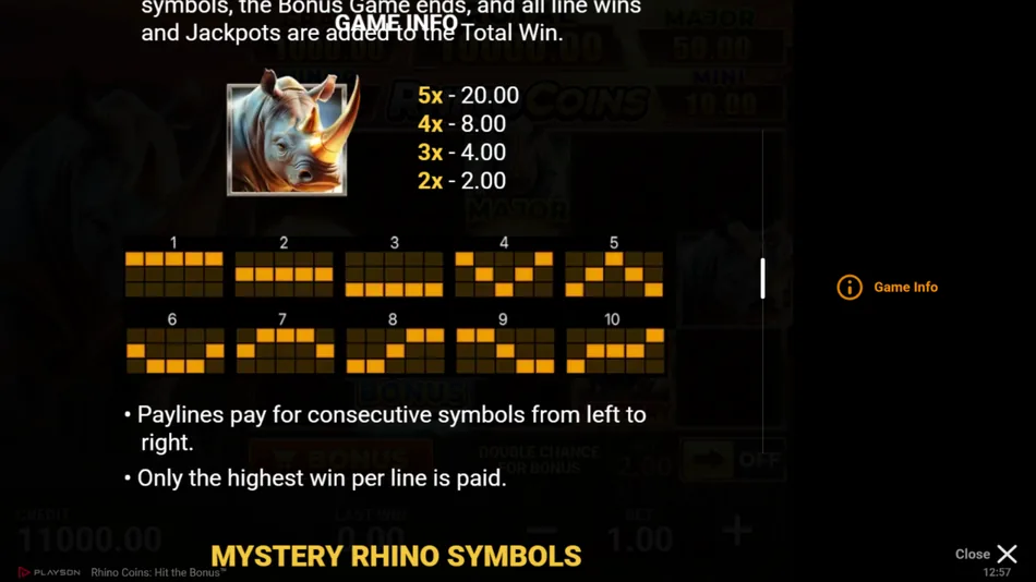 Rhino Coins Game Info paytable screen with rhino symbol payouts